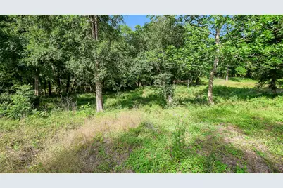 15610 Tierra Grande Drive, Needville, TX 77461 - Photo 8