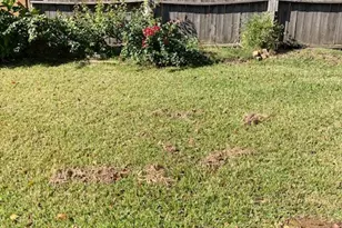 9911 Sagegreen Dr, Houston, TX 77089 - Photo 30