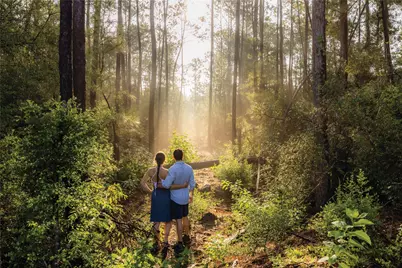 10742 Ruger Road, Willis, TX 77378 - Photo 12