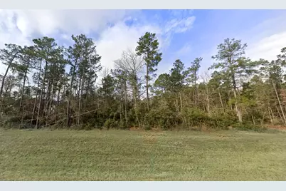 10742 Ruger Road, Willis, TX 77378 - Photo 4