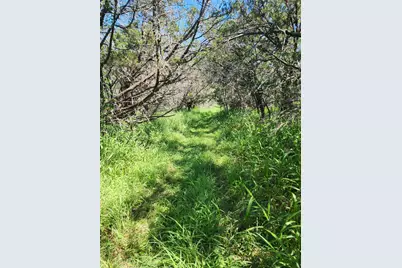 Tbd Forest Drive, Burnet, TX 78611 - Photo 4