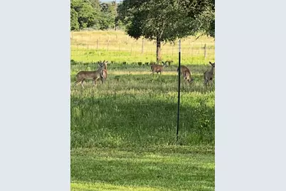 1102 Private Road 2332, Giddings, TX 78942 - Photo 30
