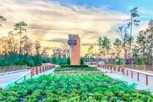 206 Sierra Stream Ln, Conroe, TX 77304 - Photo 20