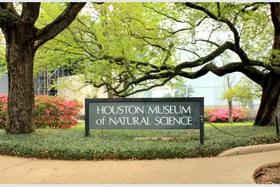 5319 Mandell Street, Houston, TX 77005 - Photo 10