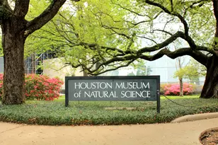 5319 Mandell St, Houston, TX 77005 - Photo 10