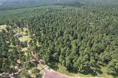 Tract 66 Private Road 1318, Centerville, TX 75833 - Photo 24