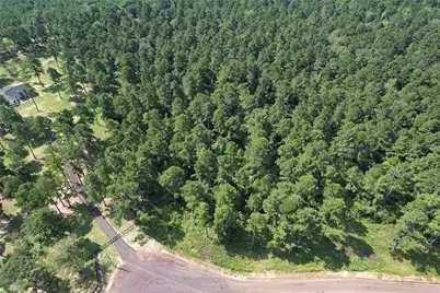 Tract 66 Private Road 1318, Centerville, TX 75833 - Photo 26