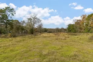 0 Minglewood Rd, Liberty, TX 77575 - Photo 1