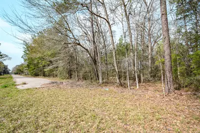 3521 Magnolia Drive, Porter, TX 77365 - Photo 6