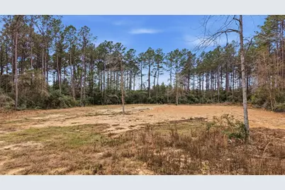 1208 Holly Grove Road, Livingston, TX 77351 - Photo 6