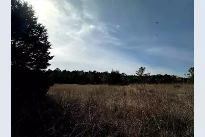 290 Over The Hill Road, Point Blank, TX 77364 - Photo 14