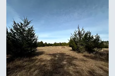 290 Over The Hill Road, Point Blank, TX 77364 - Photo 6