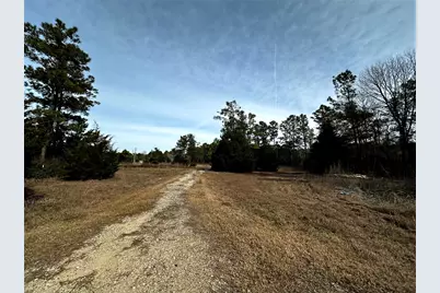 290 Over The Hill Road, Point Blank, TX 77364 - Photo 2