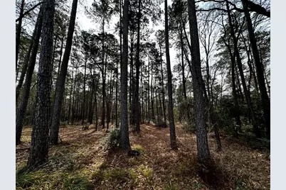 290 Over The Hill Road, Point Blank, TX 77364 - Photo 10