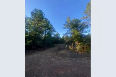 17922 Deerwood Drive, Hempstead, TX 77445 - Photo 8