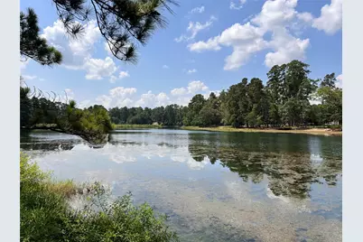 15218 Milton Whatley, Montgomery, TX 77316 - Photo 1