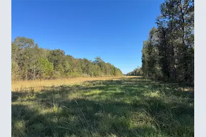0 County Road 401, Dayton, TX 77535 - Photo 4