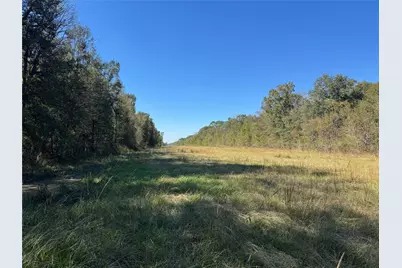 0 County Road 401, Dayton, TX 77535 - Photo 6