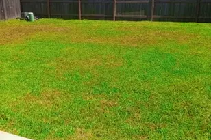21275 Catalina Palm Dr, Cypress, TX 77433 - Photo 14