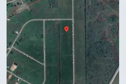 116 Brahman, Angleton, TX 77515 - Photo 2