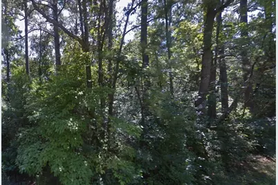 306 Deason Circle, Colmesneil, TX 75938 - Photo 4