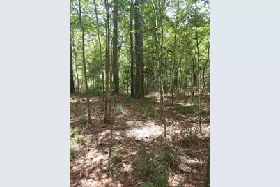 306 Deason Circle, Colmesneil, TX 75938 - Photo 1