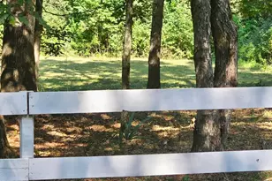 7393 Teaswood Dr, Conroe, TX 77304 - Photo 4