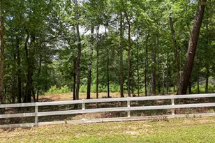 7393 Teaswood Dr, Conroe, TX 77304 - Photo 1