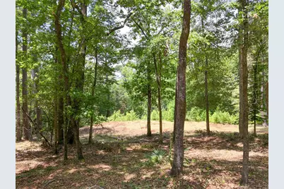 7393 Teaswood Drive, Conroe, TX 77304 - Photo 2