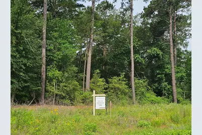 9164 Cedar Bend, Plantersville, TX 77363 - Photo 2