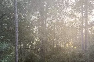 19008 Nottingham Ln, New Caney, TX 77357 - Photo 2