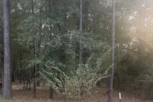 19008 Nottingham Ln, New Caney, TX 77357 - Photo 1