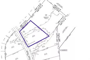 16018 Wood Grv Wy, Willis, TX 77378 - Photo 2