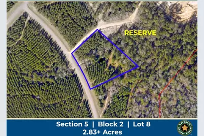 16018 Wood Grove Way, Willis, TX 77378 - Photo 1