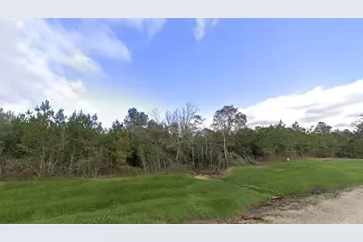 16018 Wood Grove Way, Willis, TX 77378 - Photo 4