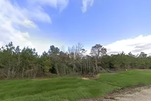 16018 Wood Grv Wy, Willis, TX 77378 - Photo 4