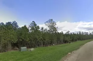 16018 Wood Grv Wy, Willis, TX 77378 - Photo 6