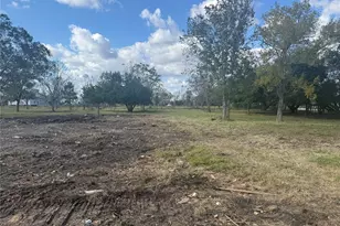 1914 1st St, Liverpool, TX 77577 - Photo 2