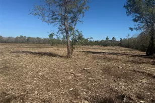 1914 1st St, Liverpool, TX 77577 - Photo 6