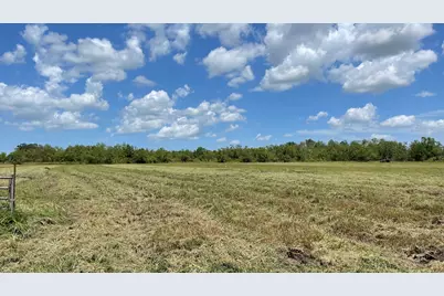 1602 County Road 62, Rosharon, TX 77583 - Photo 2