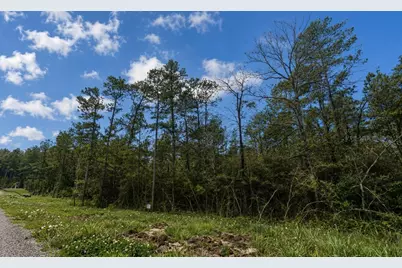 15633 Ridge Rock Road, Willis, TX 77378 - Photo 6