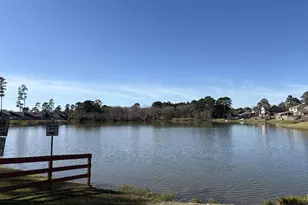 1985 La Salle Park Dr, Conroe, TX 77304 - Photo 4