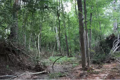 10182 County Road 208, Anderson, TX 77830 - Photo 8