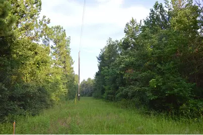 10182 County Road 208, Anderson, TX 77830 - Photo 4