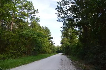 10182 County Road 208, Anderson, TX 77830 - Photo 16