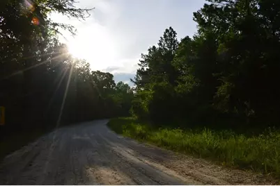 10182 County Road 208, Anderson, TX 77830 - Photo 22