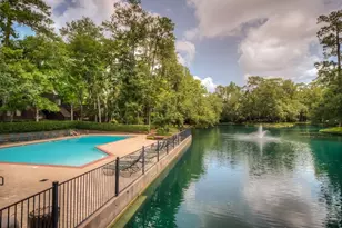 246 Litchfield Ln, Houston, TX 77024 - Photo 18