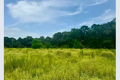3882 Co Rd 4875, Warren, TX 77664 - Photo 12