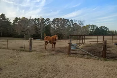 394 Fm 230-1, Trinity, TX 75862 - Photo 26