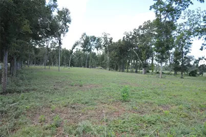 40617 Lg Lane, Brookshire, TX 77423 - Photo 6